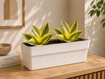 Jardinera Cip